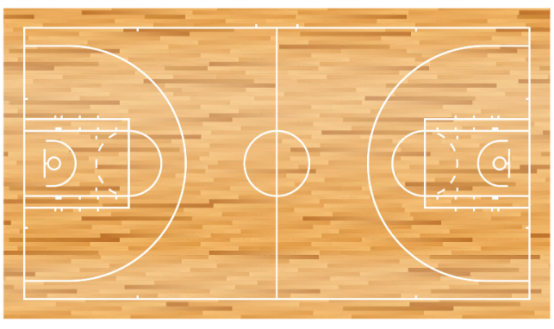 Differences in venue specifications and facilities for different ball sports